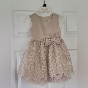 Rare Editions Blush Lace Kids Dress